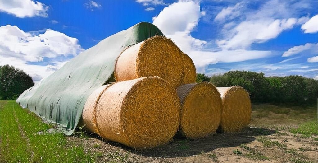 Professional agricultural tarpaulin solutions