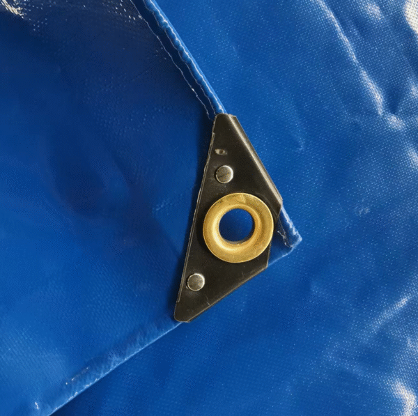 tarp